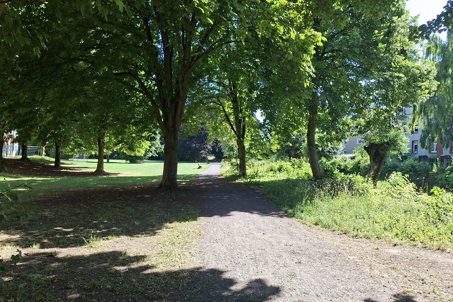 Park mit Wiesen und Bäumen